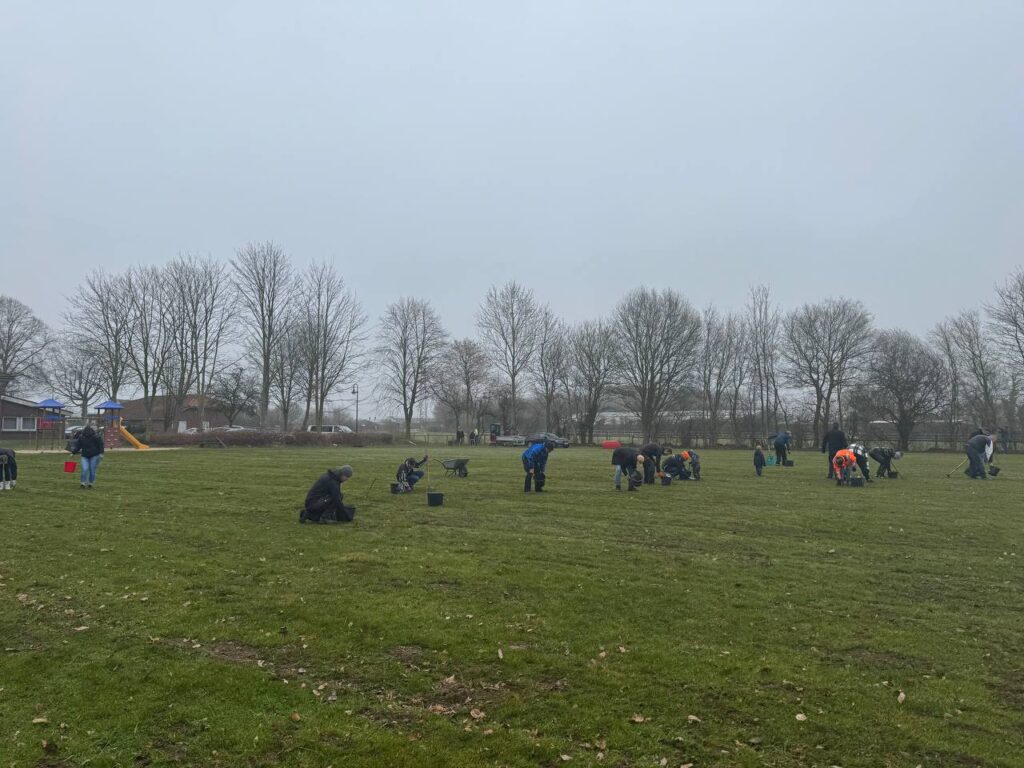 Arbeitseinsatz zur Sportplatzvorbereitung beim TSV Schülp