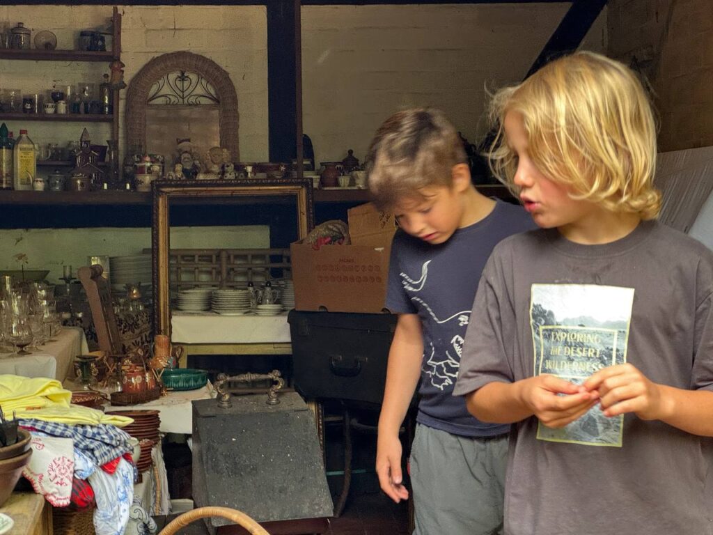 Kinder betrachten historische Ausstellungsstücke
