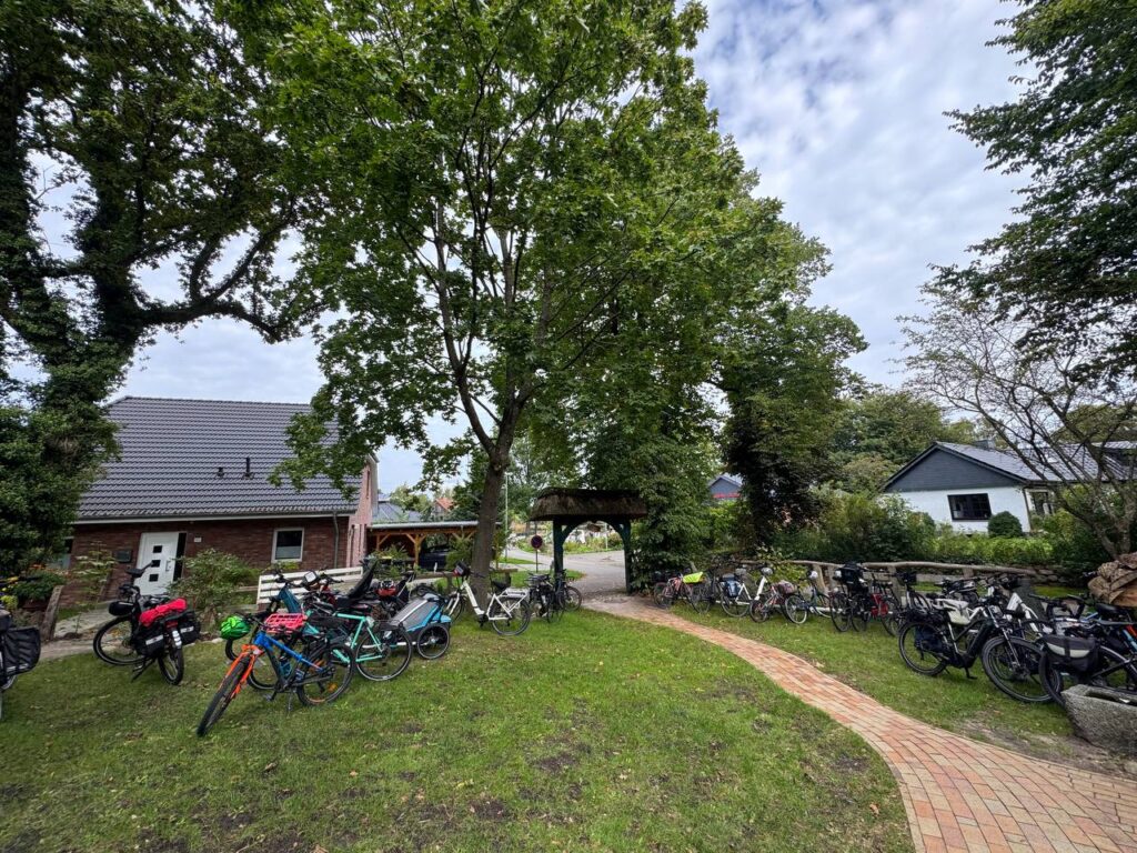 Viele abgestellte Fahrräder im Garten von Dat ole Hus