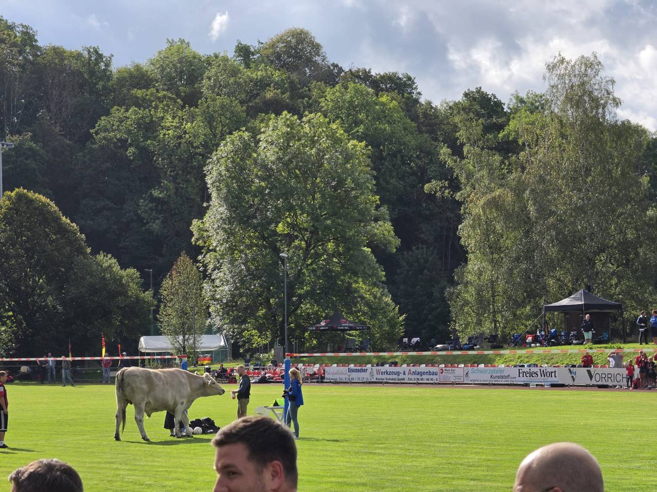Großer hellbrauner Bulle als Maskottchen auf dem Faustballfeld während der Deutschen Meisterschaft der Männer 45 in Veilsdorf